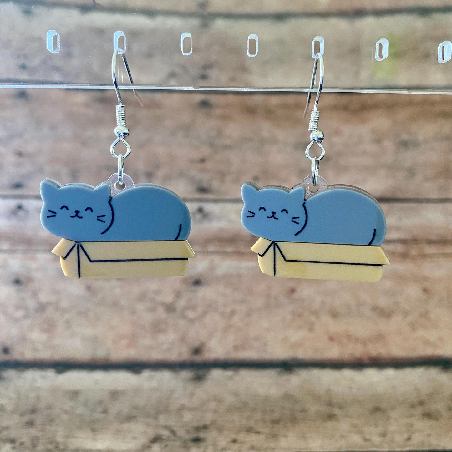 Cat in a Box Dangle Earrings